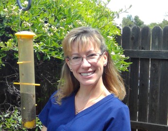 Picture of Dr. Bauche